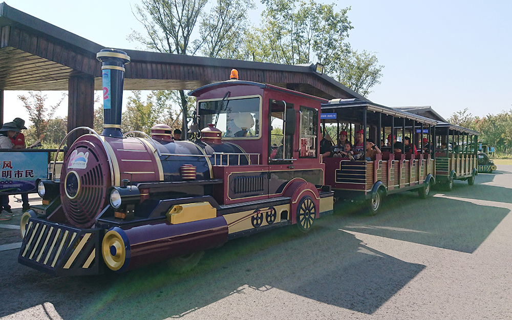 武漢58座觀光小火車（鳶尾紫）