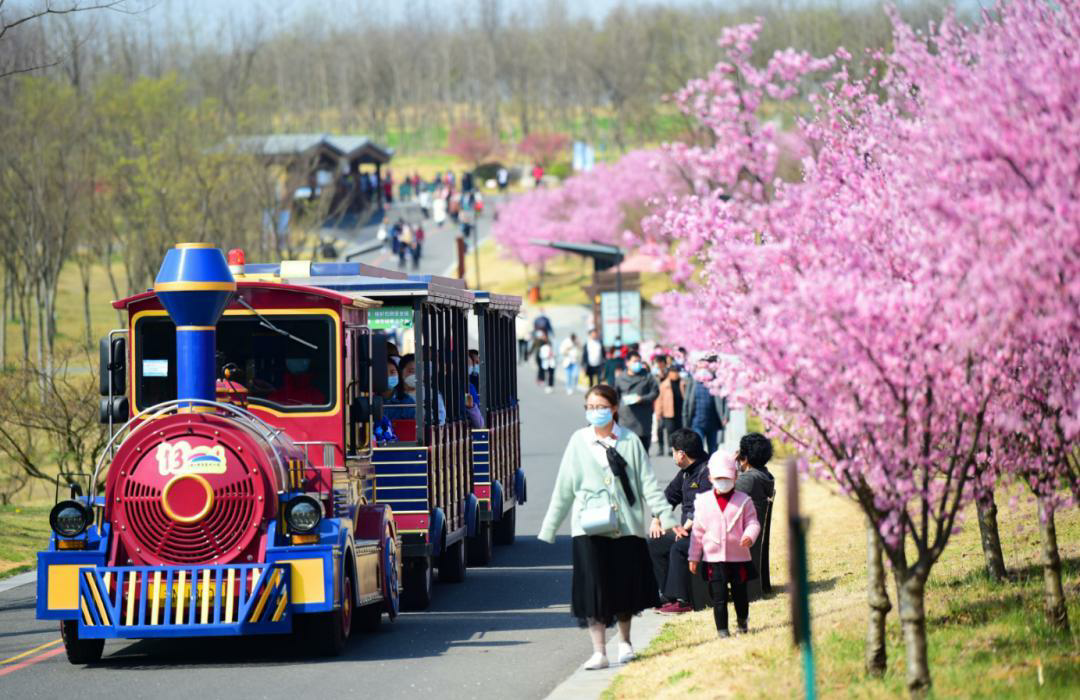 網(wǎng)紅小火車