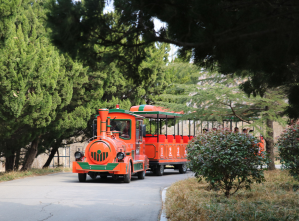 山東安丘青云山42座觀光小火車