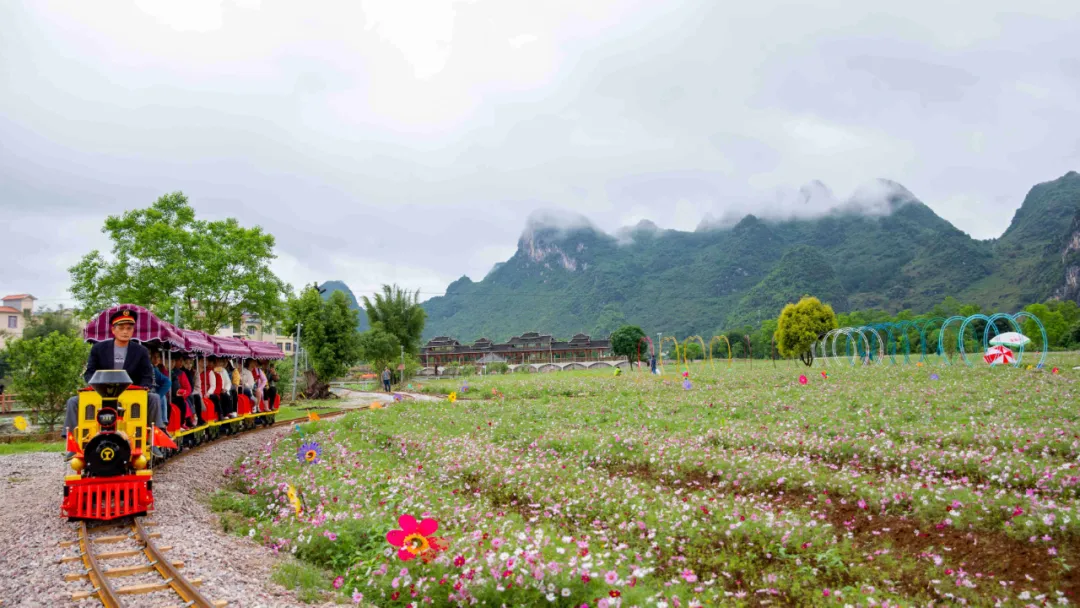 網(wǎng)紅花海小火車