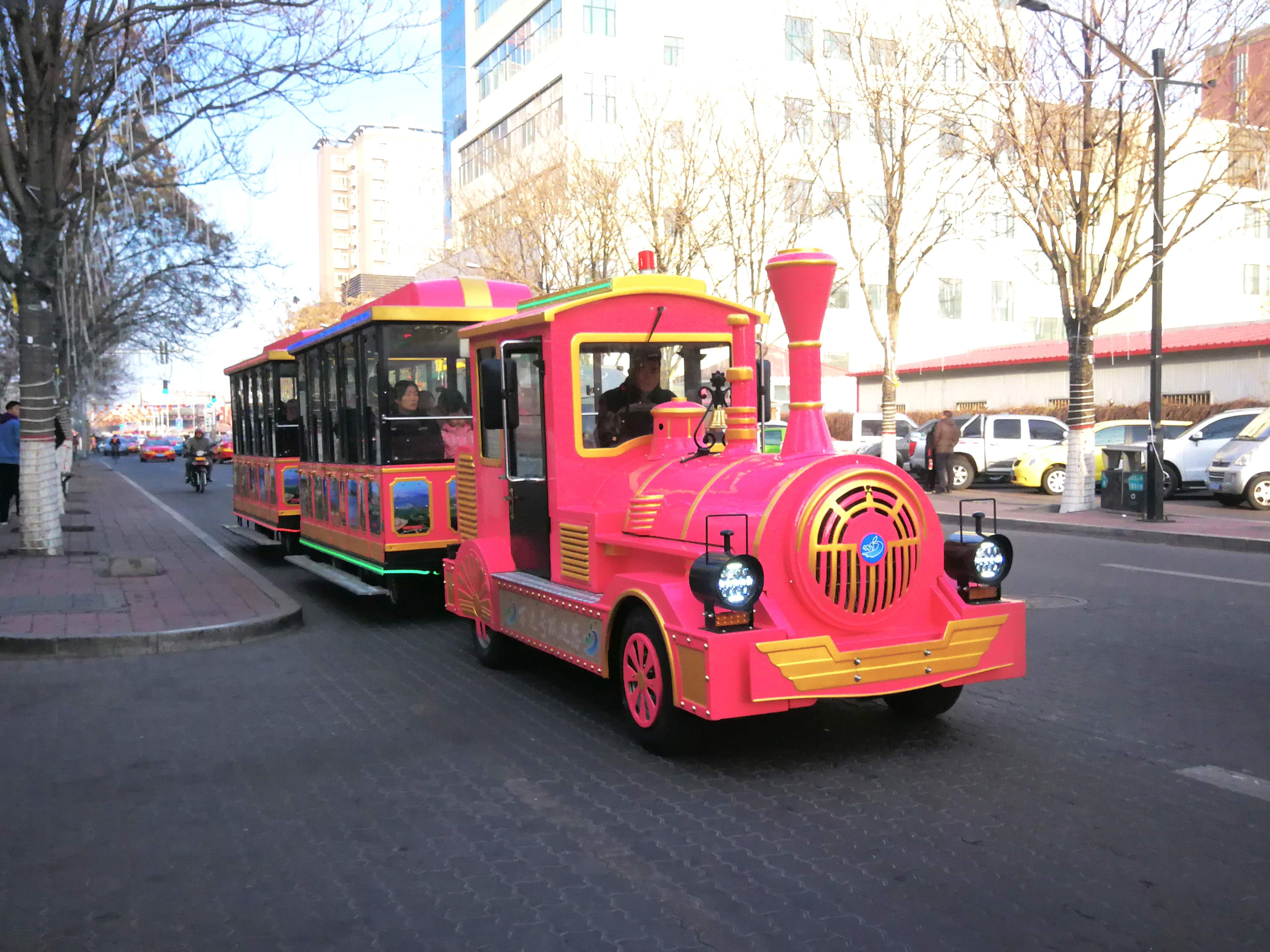 景區(qū)無軌小火車