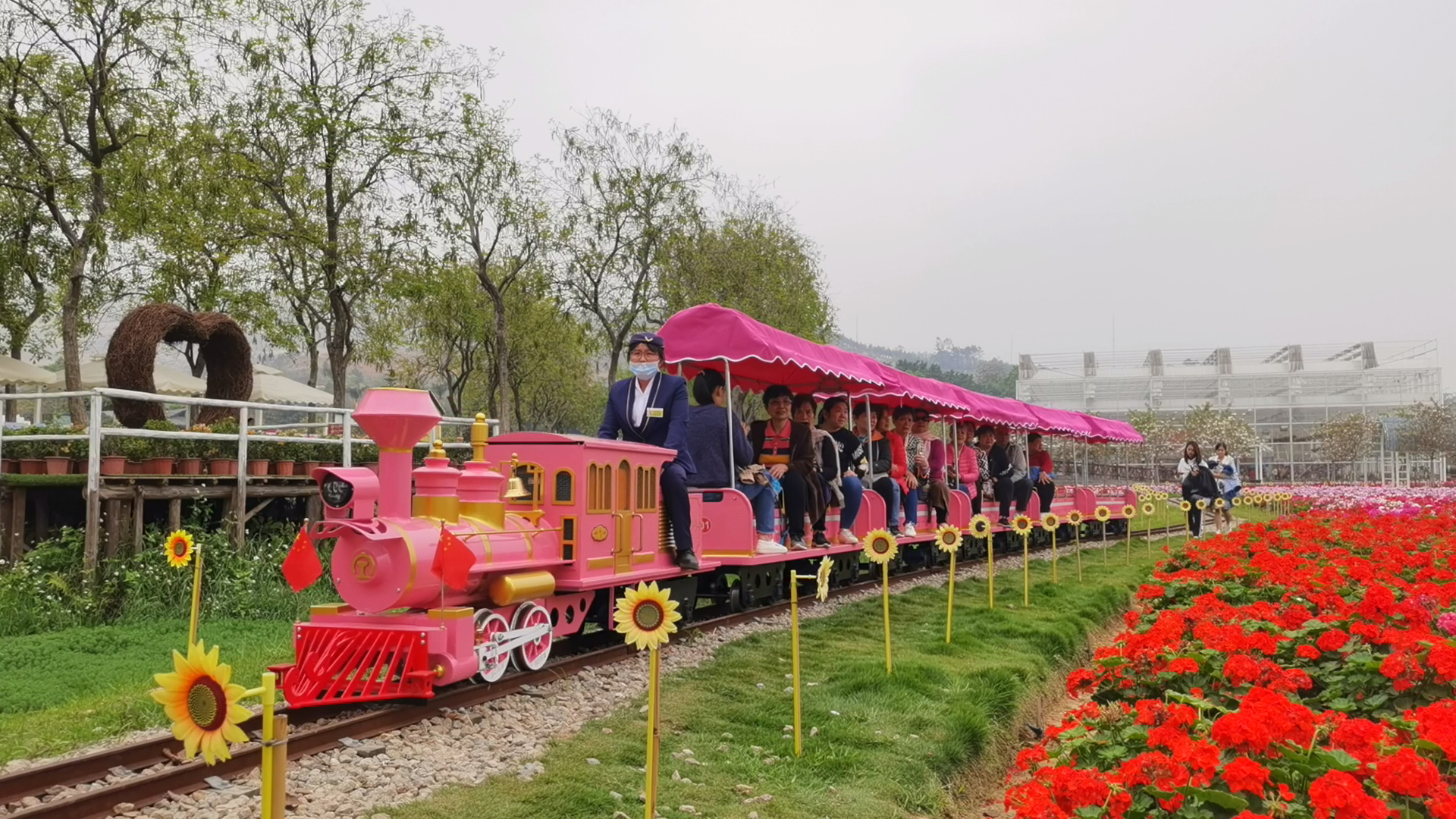 景區(qū)網(wǎng)紅騎跨小火車