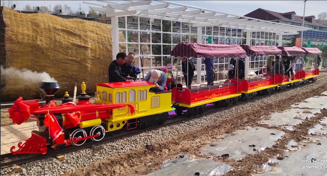 青海千紫園24座網(wǎng)紅小火車