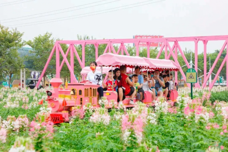 常熟蔣巷生態(tài)園16座網(wǎng)紅小火車