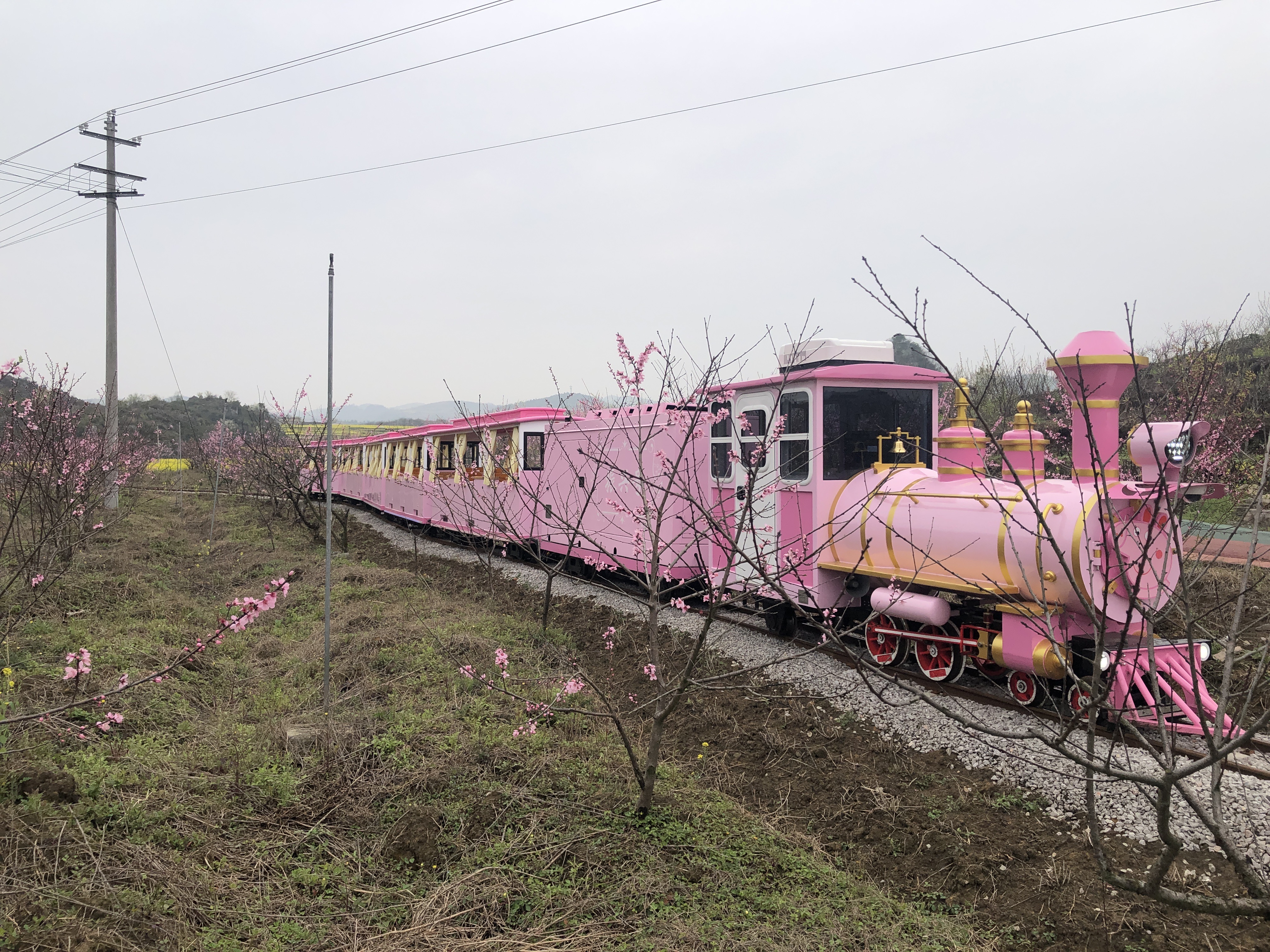 軌道觀光小火車