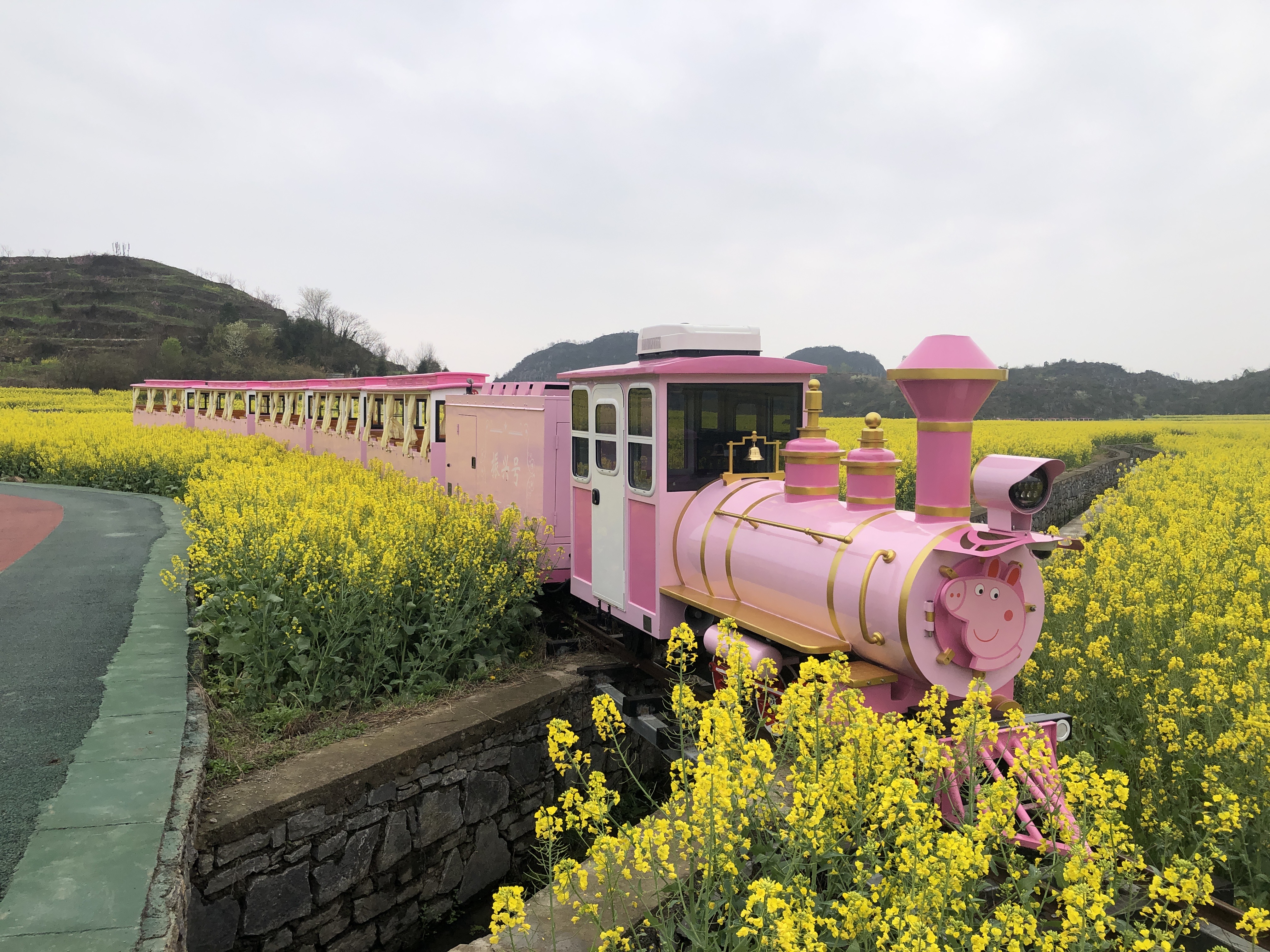 軌道觀光小火車